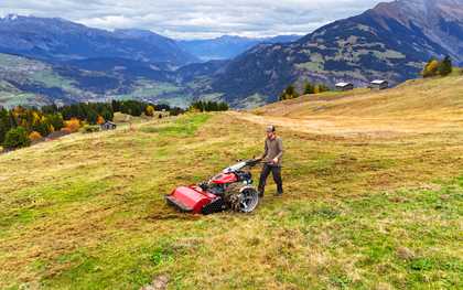 Motormäher/Einachser